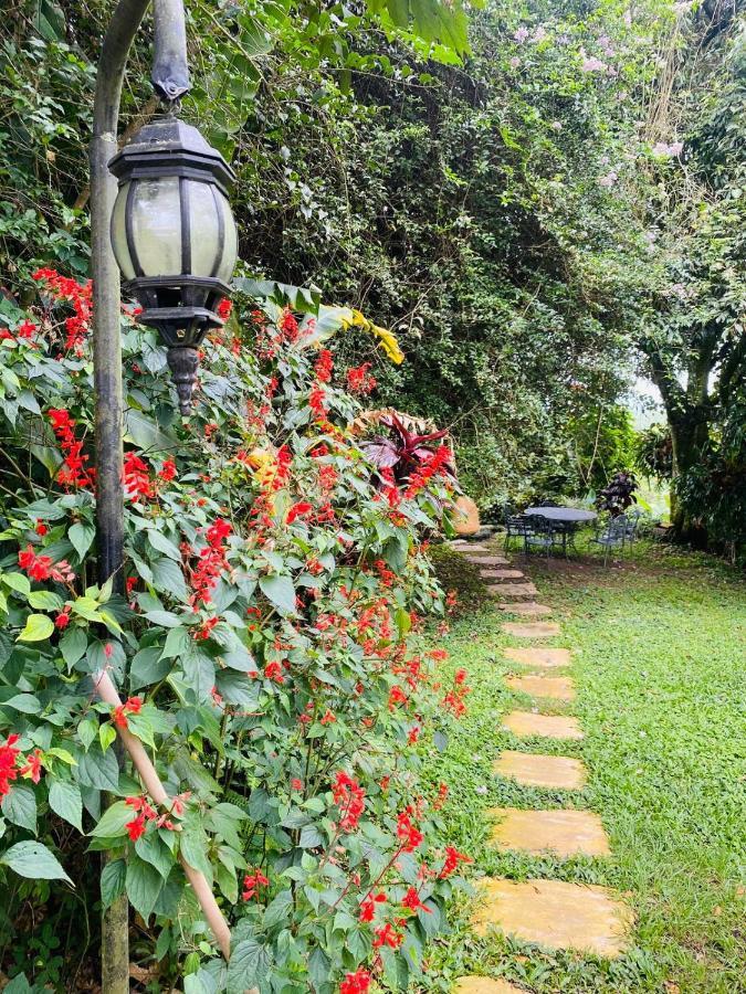 Finca Hotel Los Girasoles Монтенегро Экстерьер фото