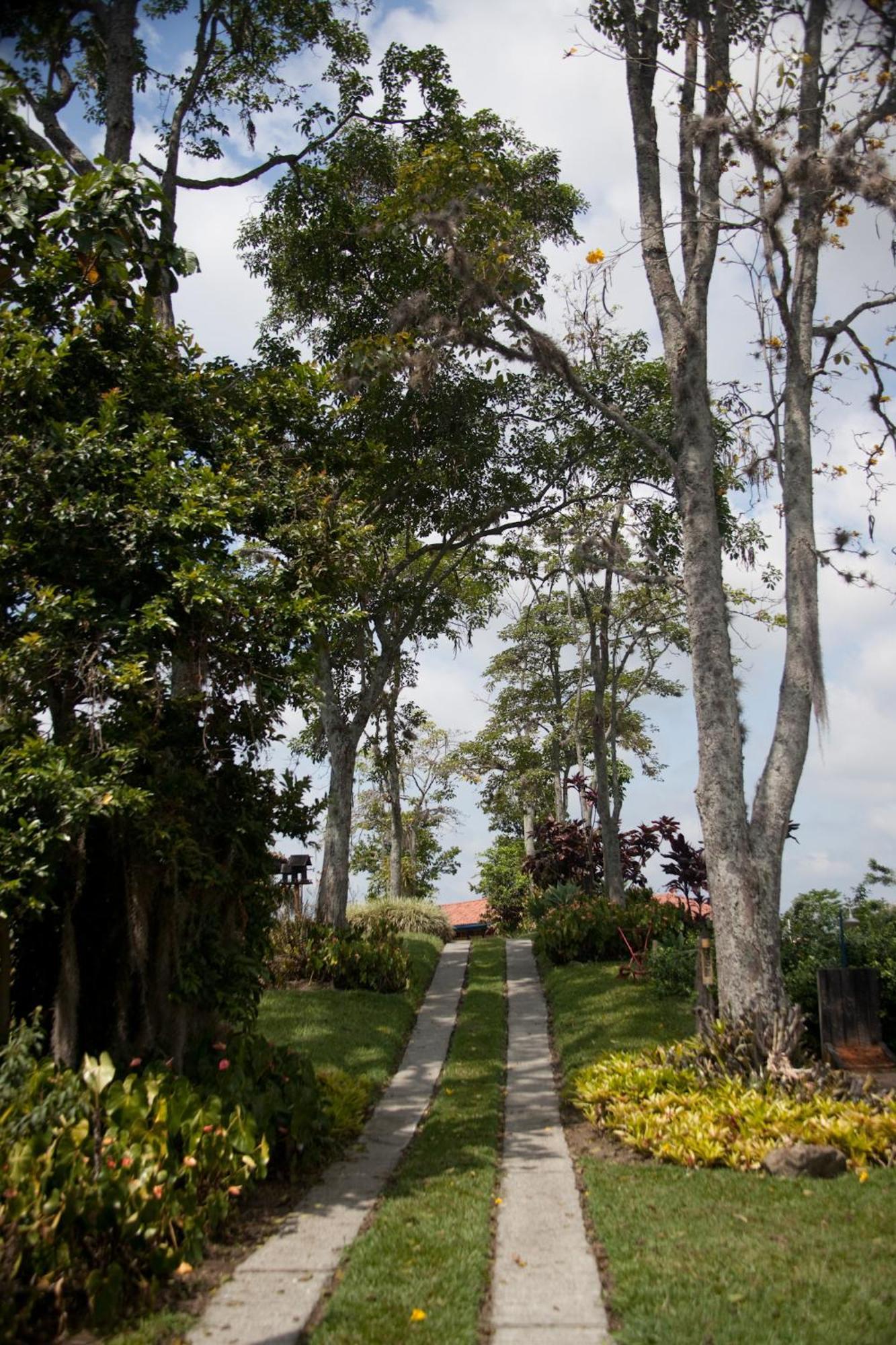 Finca Hotel Los Girasoles Монтенегро Экстерьер фото